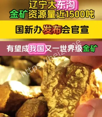 辽宁大东沟金矿